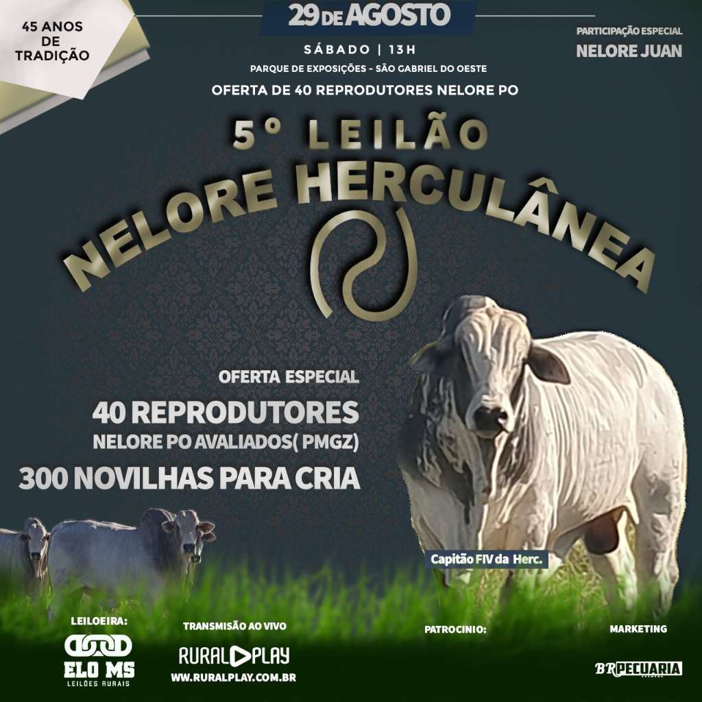 5º LEILÃO NELORE HERCULANEA