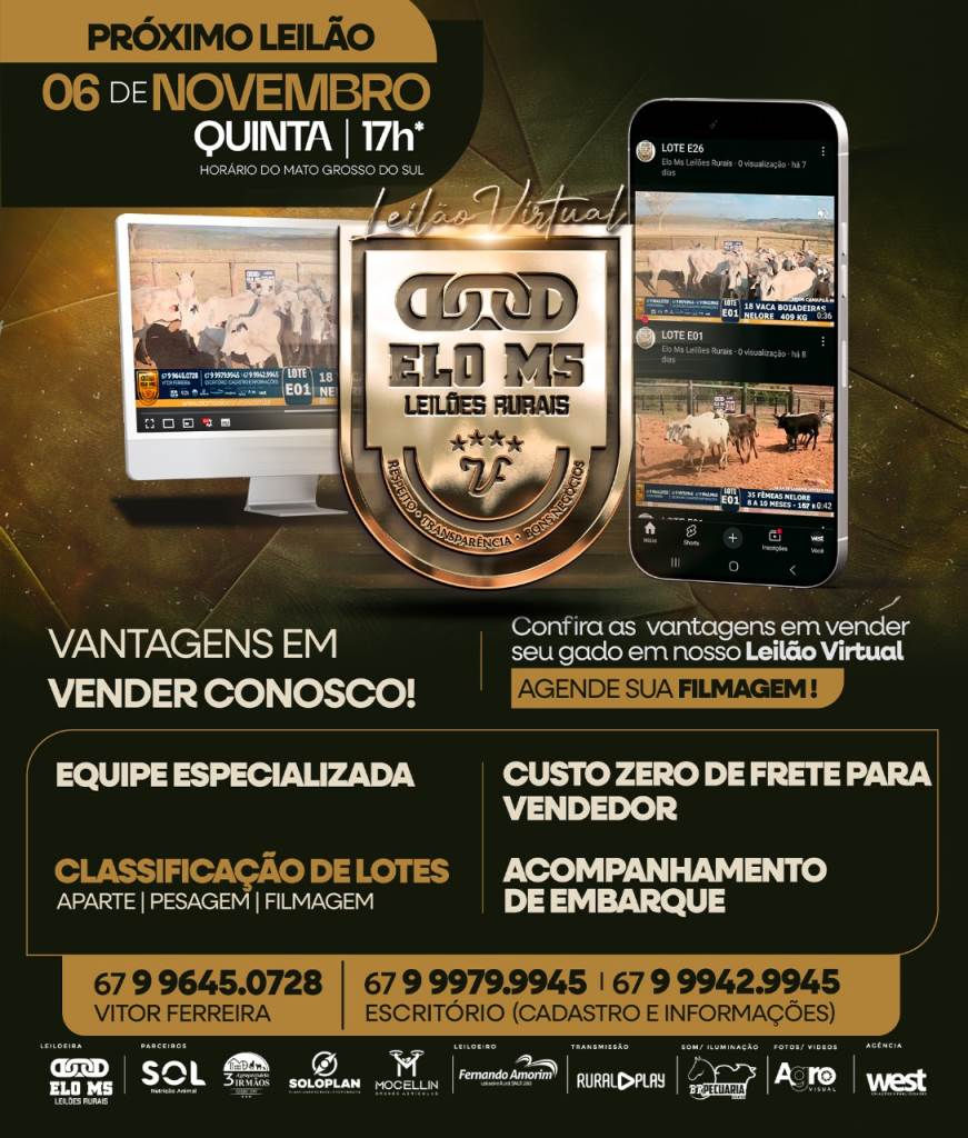 123º LEILÃO VIRTUAL ELO MS 
